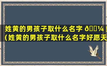 姓黄的男孩子取什么名字 🐼 好（姓黄的男孩子取什么名字好愿天下和平）